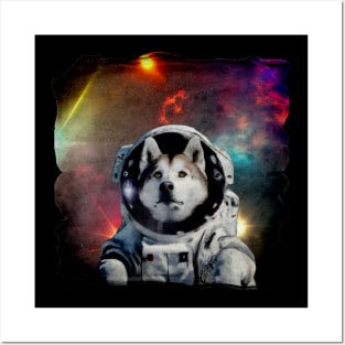 Boldly Go Where No Husky Has Before Posters and Art
